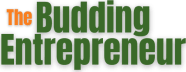 The Budding Entrepreneur