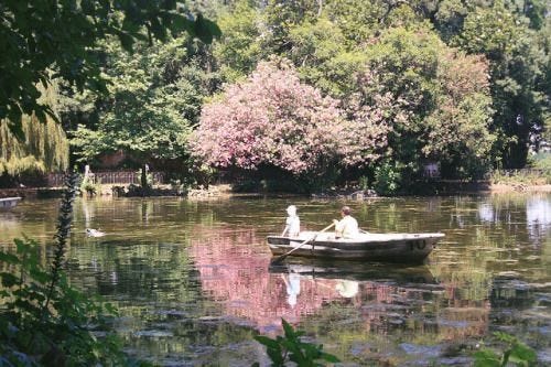 This may contain: two people in a small boat on a lake surrounded by trees and bushes with pink flowers
