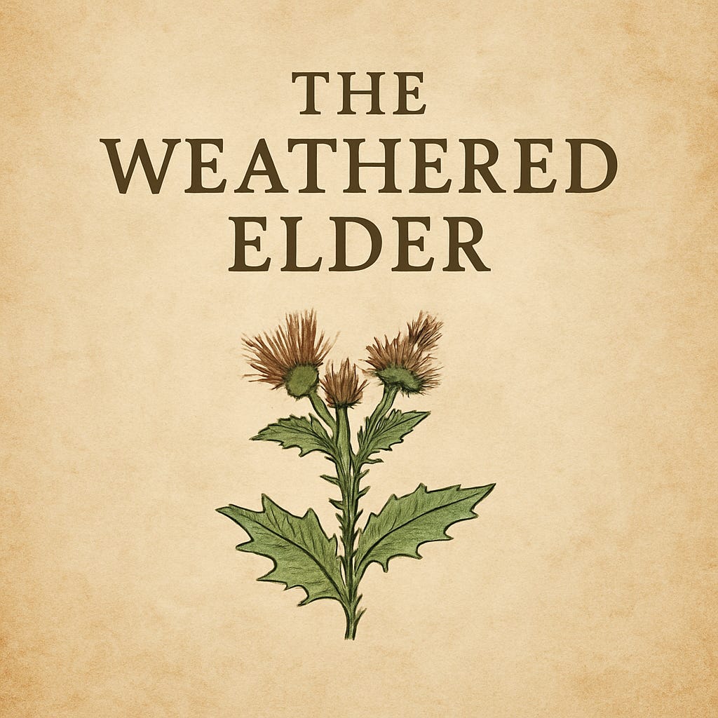 The Weathered Elder
