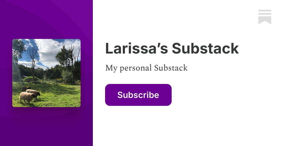 Larissa’s Substack | Substack