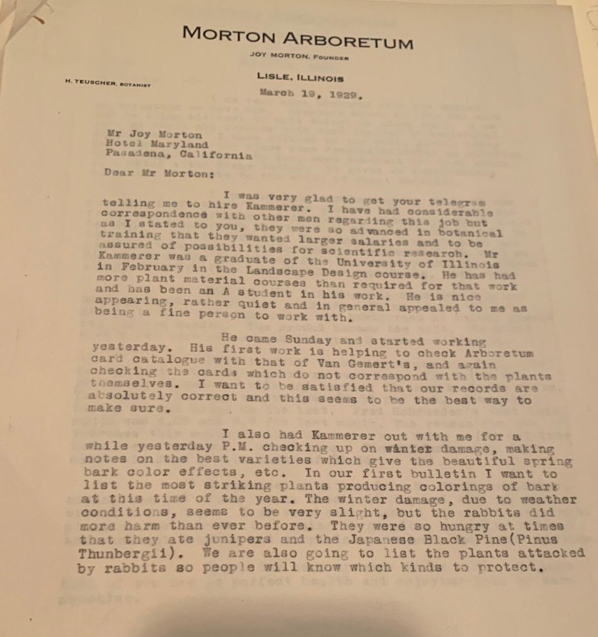 Letter on Morton Arboretum stationary addressed to Joy Morton - detailing the hiring of Mr. Kammerer and the work he has started on. Letter on Morton Arboretum stationary addressed to Joy Morton - detailing the hiring of Mr. Kammerer and the work he has started on.