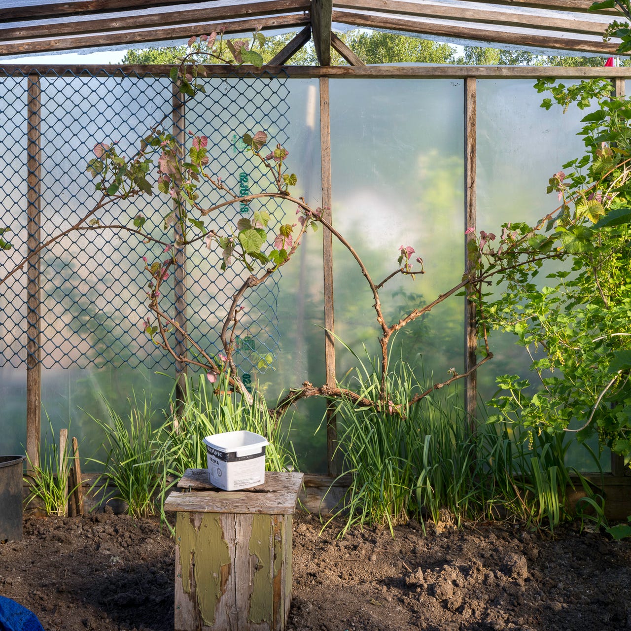 Jim Roche On Photography