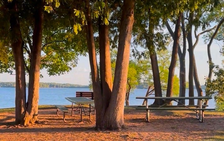 A picnic table and benches in a park
Description automatically generated A picnic table and benches in a park
Description automatically generated