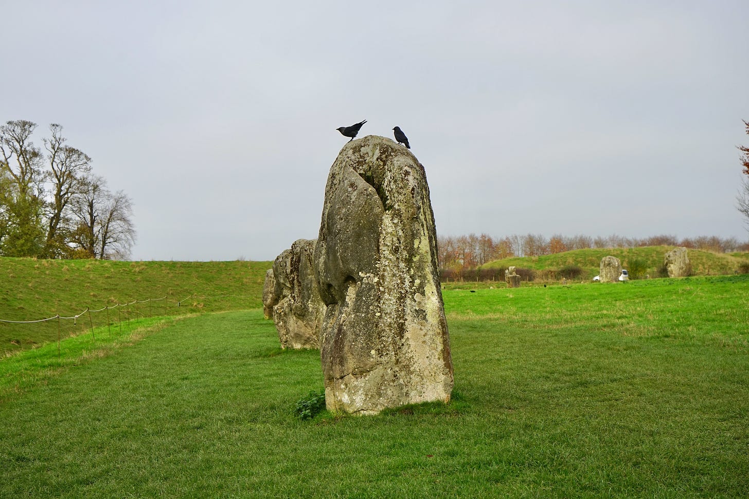 Neolithic standing stone circle with birds