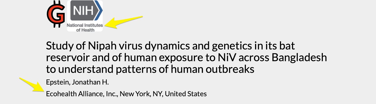 image 4.png image 4.png