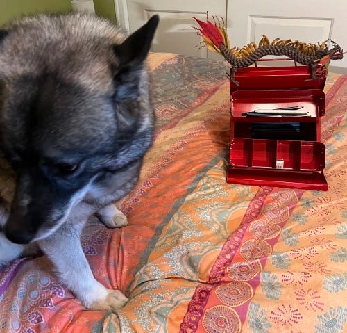 Thora, the Writer Elkhound, absconds with dragon and pencil both.