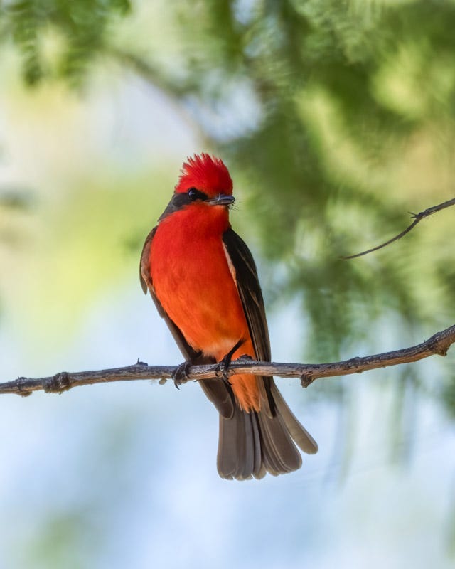 20260330-Sweetwater-58-Edit.jpg 20260330-Sweetwater-58-Edit.jpg