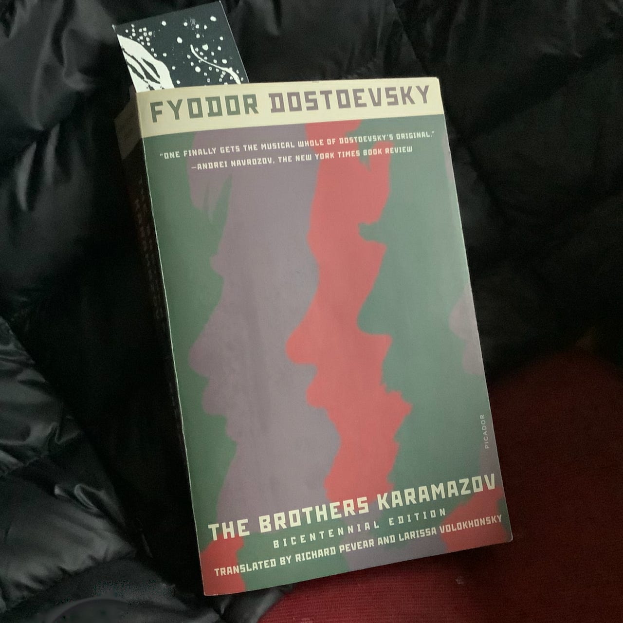 The Brothers Karamazov Slow Read