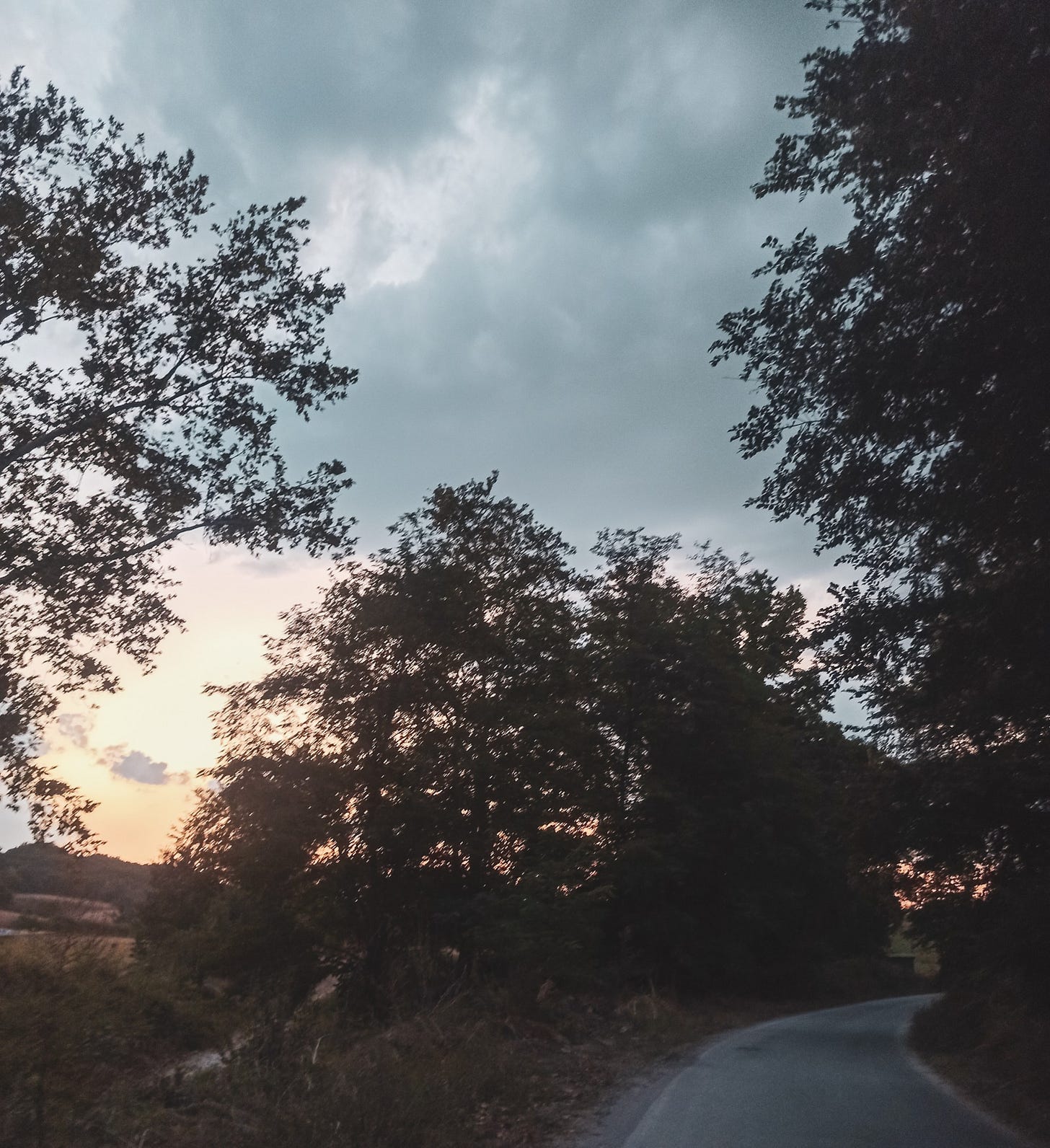 Προεπισκόπηση εικόνας