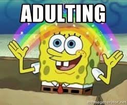 Adulting Memes