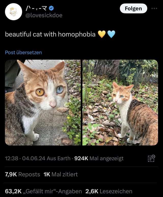 r/comedyheaven - homophobia r/comedyheaven - homophobia
