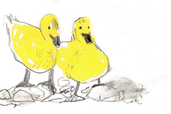 Drawing Session Replays | Introvert Drawing Club | Beth Spencer | Substack