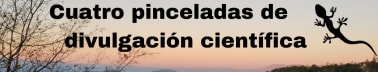 Cuatro pinceladas de divulgación científica