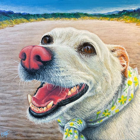 Zeke On The Beach, 1- Running, 2-Laughing, 3- Forever floating above the water.