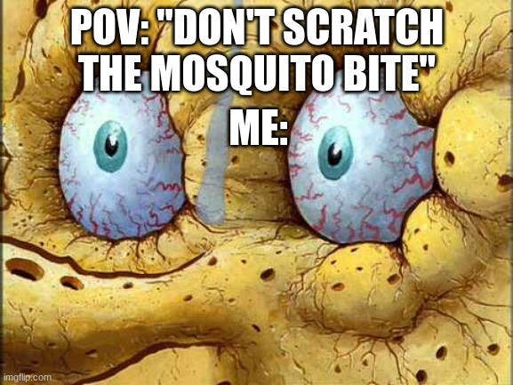 Mosquito bites - Imgflip