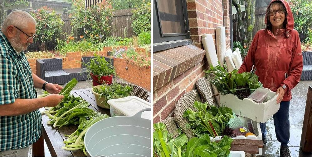 cliff view farm vegie boxes