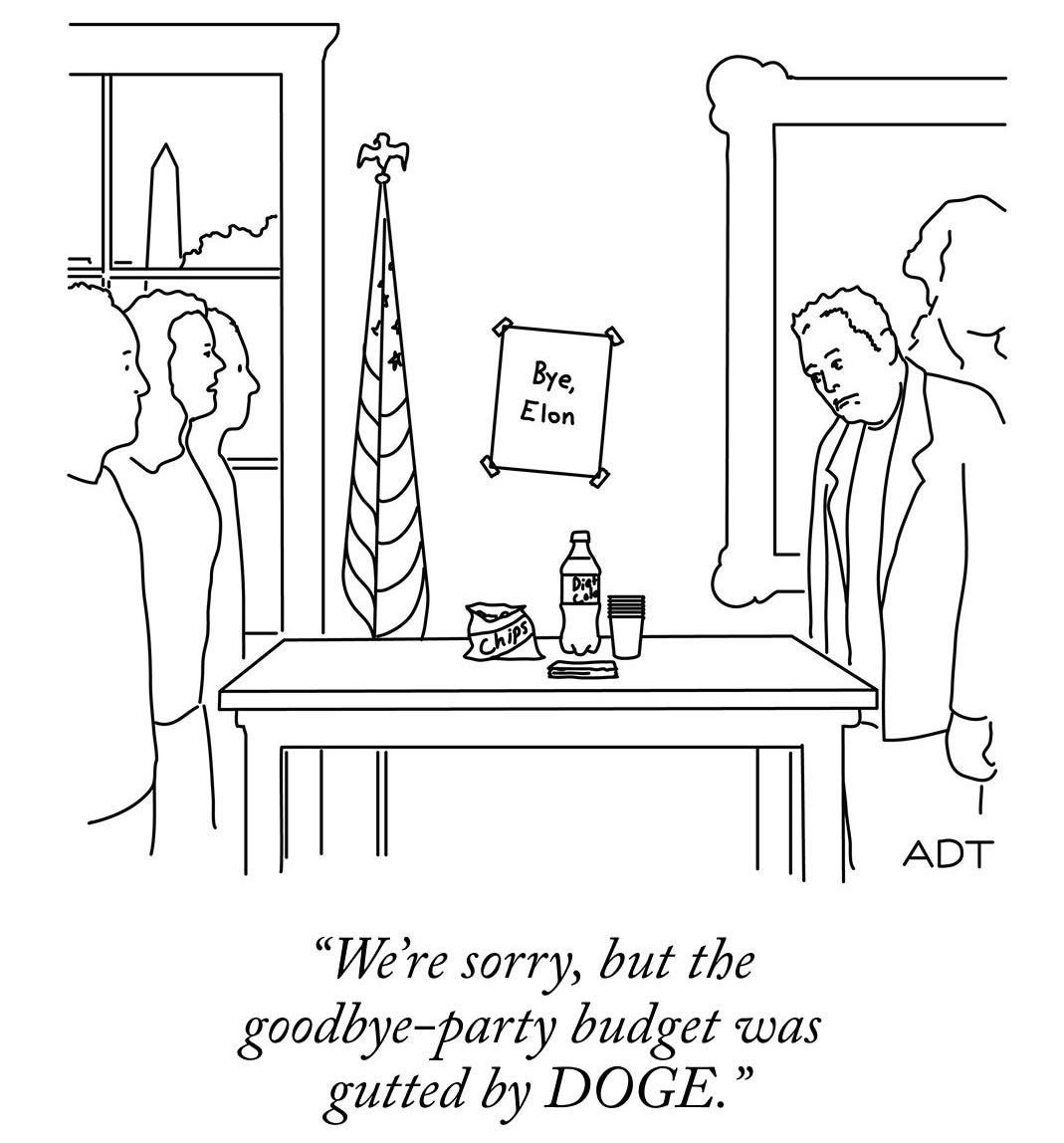 Elon Musk and other people stand around a table with a bag of chips, a water bottle, and a stack of disposable cups, beneath a sign taped to the wall that reads “Bye, Elon.” One person says, “We’re sorry, but the goodbye-party budget was gutted by DOGE.”