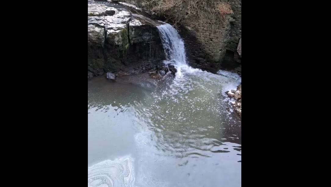 Wensleydale Creamery source of beck pollution