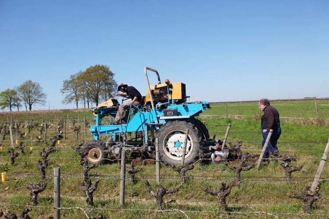 1pepiere_plowing_between_rows