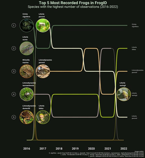 frog chat showing top species in the ALA since 2016