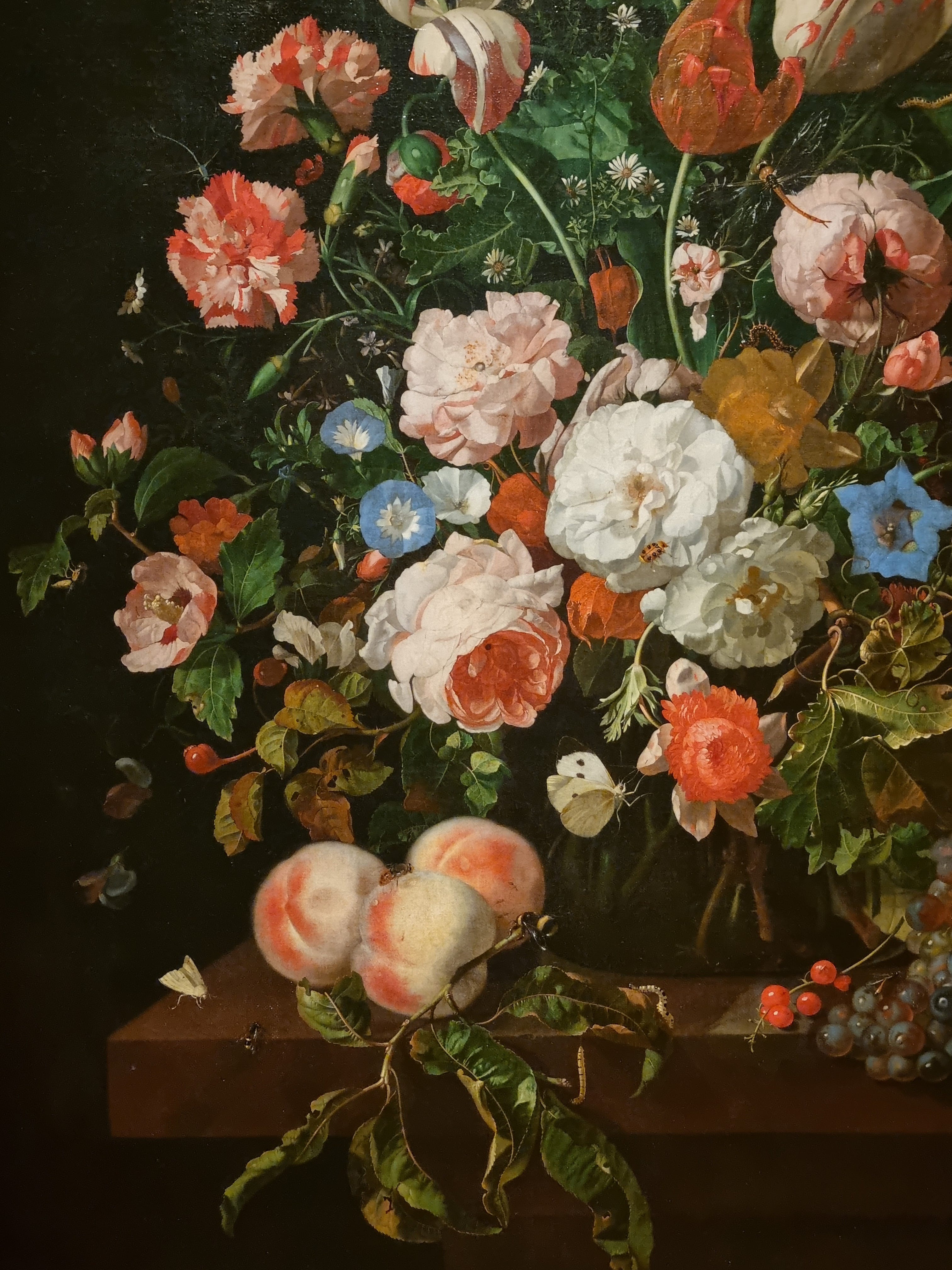 Flower power in the Dutch Golden Age - by Cathy Jamieson
