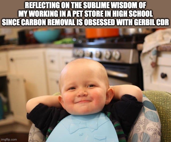 Smug baby meme: a baby in a high chair with hands behind his head, grinning contentedly in a kitchen. Top text: "REFLECTING ON THE SUBLIME WISDOM OF MY WORKING IN A PET STORE IN HIGH SCHOOL SINCE CARBON REMOVAL IS OBSESSED WITH GERBIL CDR"