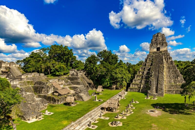 Stone Mayan pyramid and ruins at Tikal, on a field of grass, with trees in background