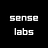 Sense Labs