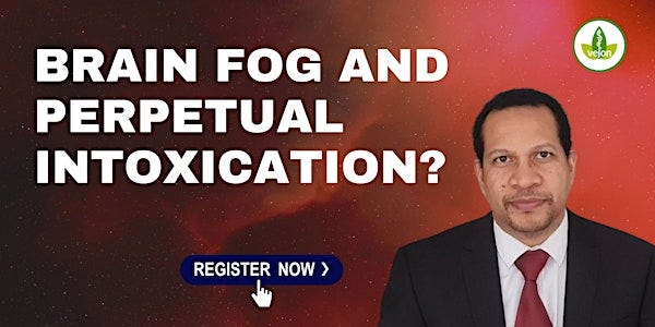 Is Brain Fog in COVID Like Perpetual Intoxication?