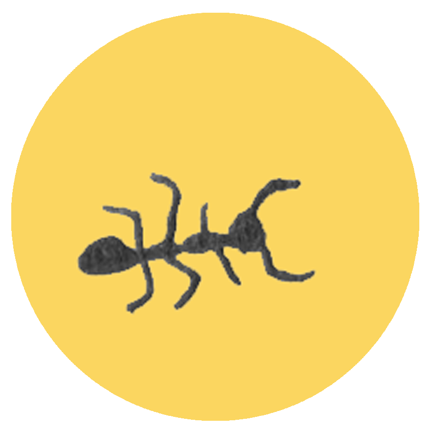 The Learning Something New About Nature Club