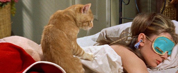 This may contain: a woman laying in bed next to a cat