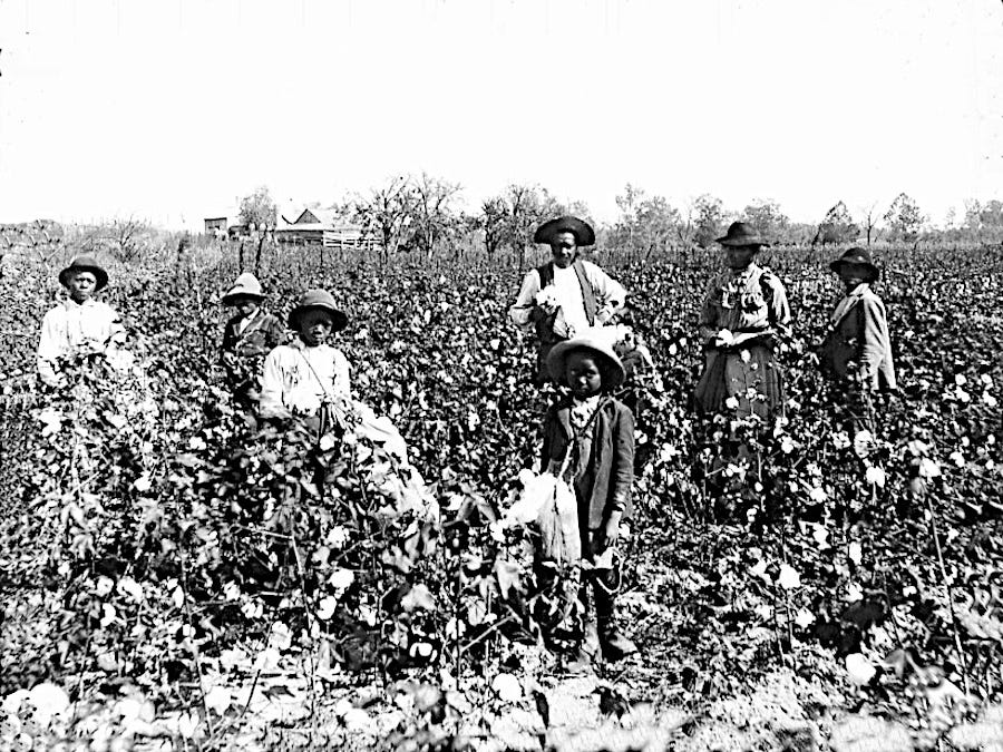 terratimes.substack.com