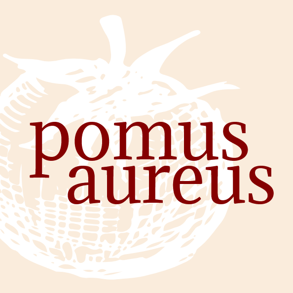 POMUS AUREUS