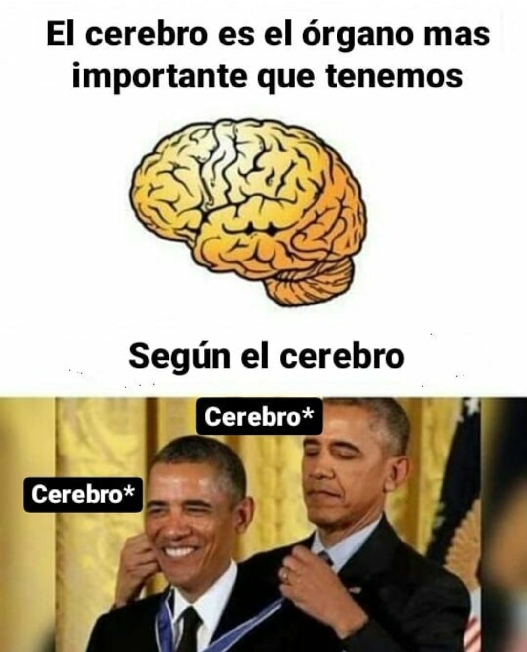 Esto meme lo pensó el cerebro - Meme by Morenito_999 :) Memedroid