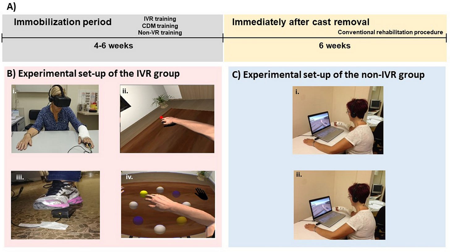 Impact of virtual embodiment and exercises on functional ability and range of motion in orthopedic rehabilitation | Scientific Reports Impact of virtual embodiment and exercises on functional ability and range of motion in orthopedic rehabilitation | Scientific Reports