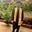 Sandeep Dash's avatar