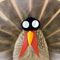 Dindonmasker's avatar