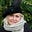 Jenny Wilcox's avatar