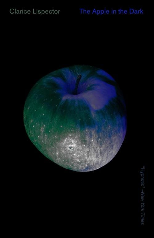 cover image of the book The Apple in the Dark