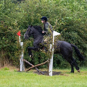 Pre-Dublin Show proves popular for Northern Lights NI Riding Club