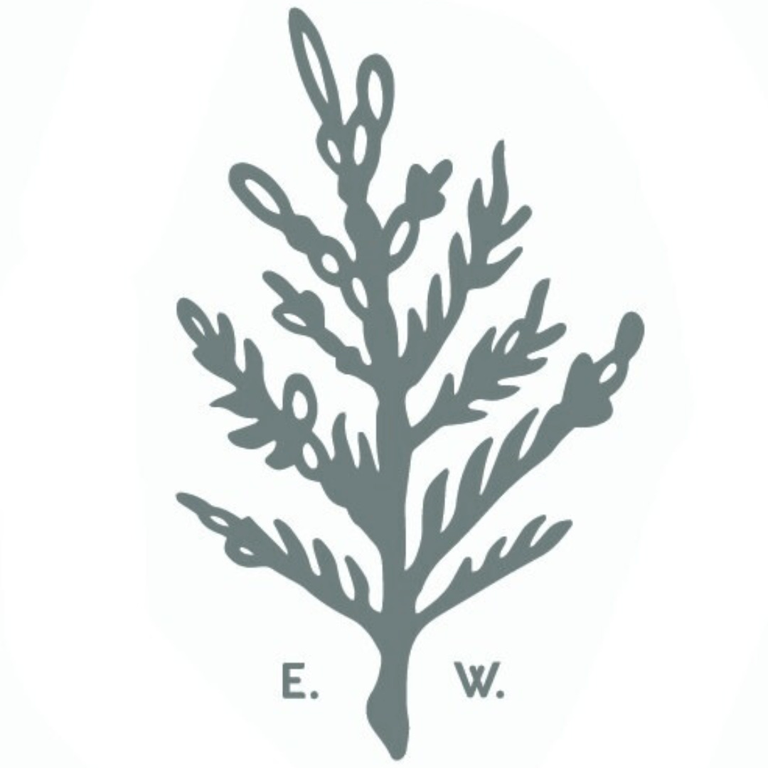 Becoming Everwell with Lindsay Hurty