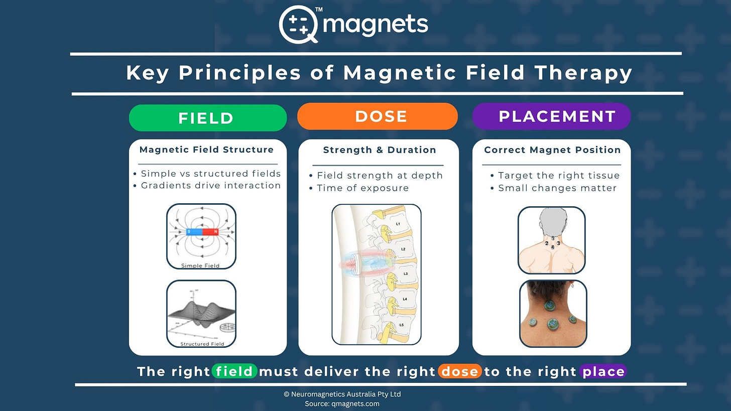 Infographic showing magnetic therapy basics, field structure, dose (strength and duration), and correct magnet placement on the body.