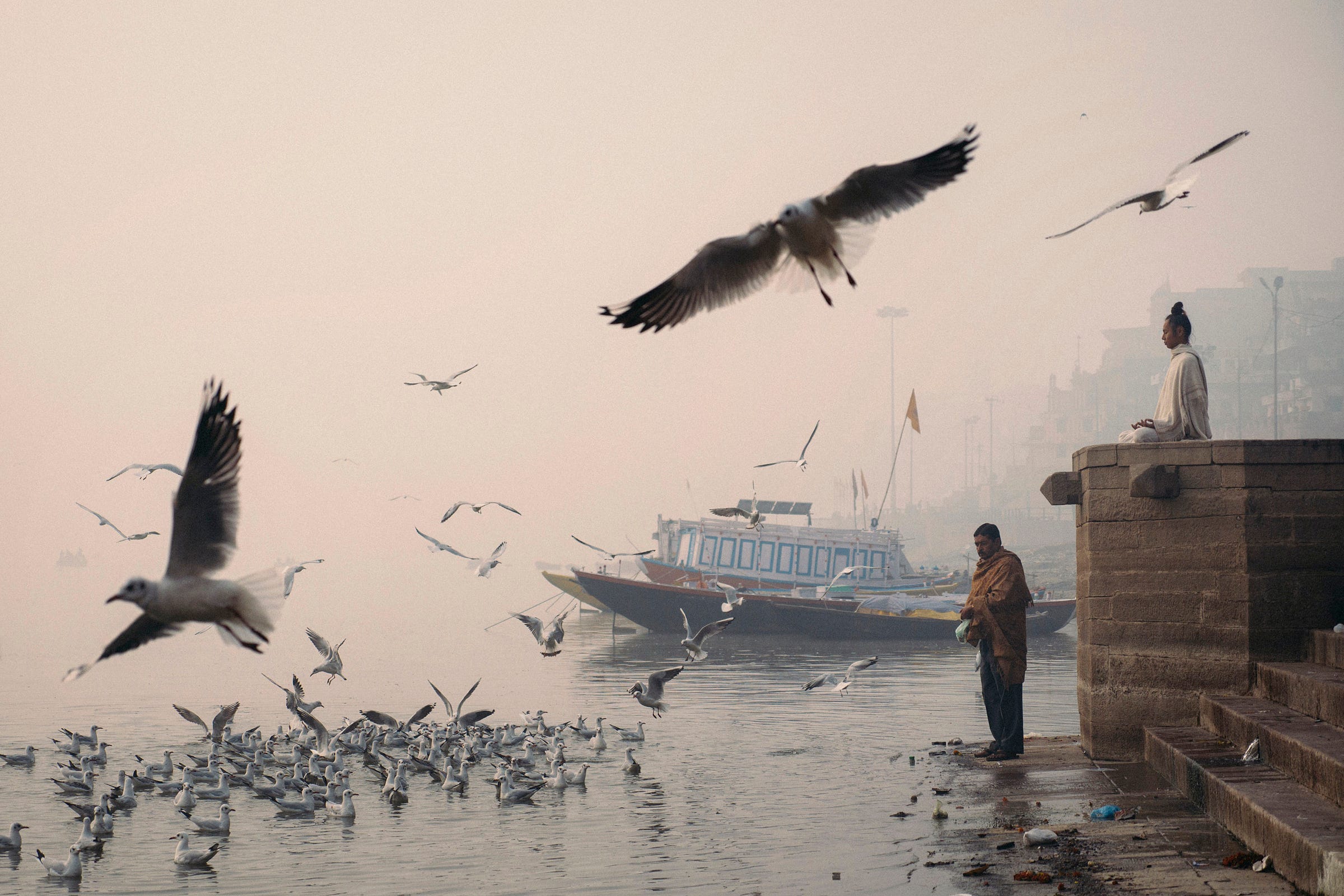 A misty riverside scene with many seagulls flying and gathered on the water, a boat docked near the shore, and two people standing on stone steps by the riverbank. Buildings are faintly visible in the background.