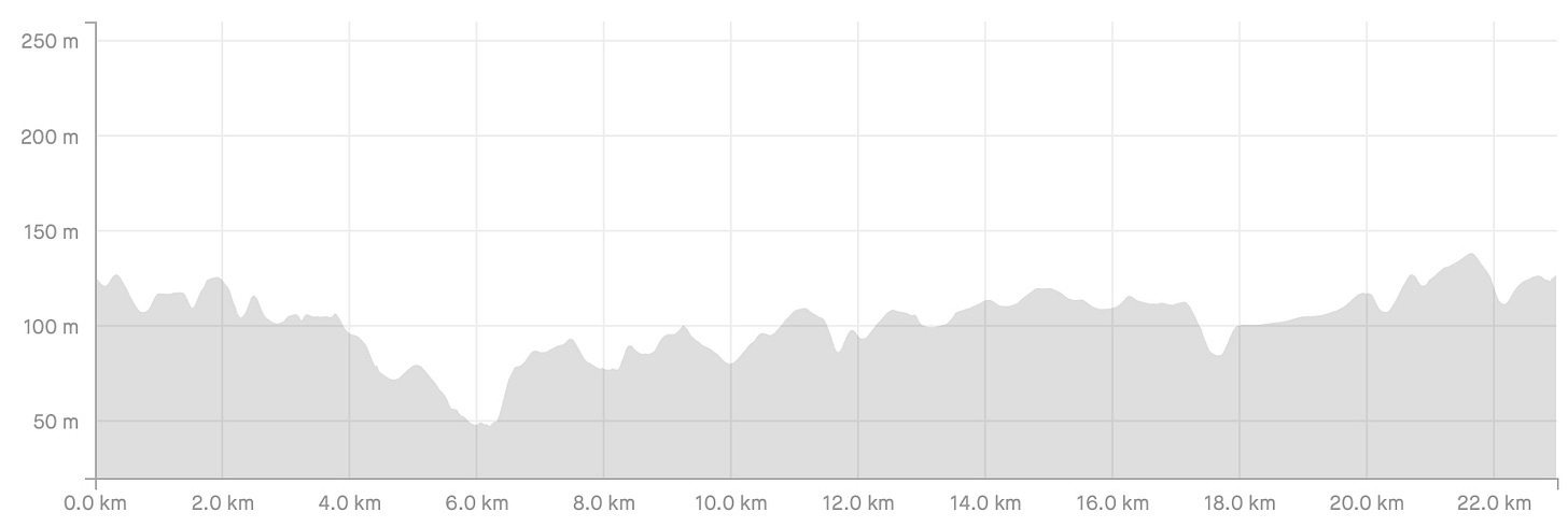 Stage_41_Profile.jpg