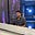 Avatar de Sebastian David