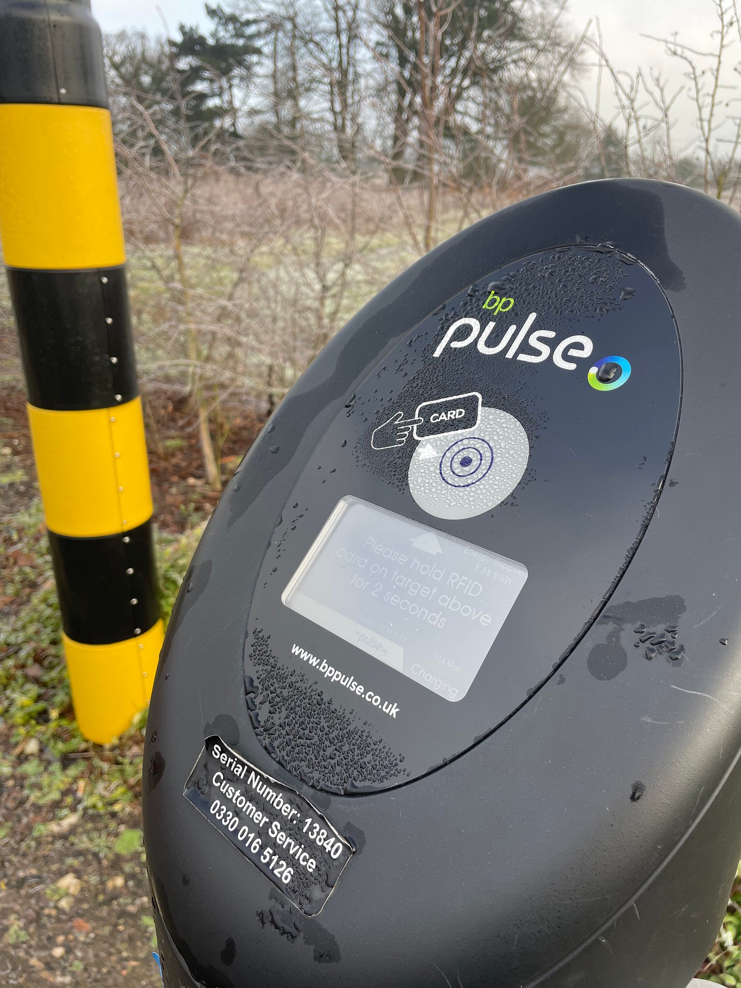 bp pulse close.jpg