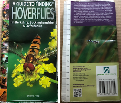 A Guide to Finding Hoverflies Book Cover to A Guide to Finding Hoverflies in Berkshire, Buckinghamshire & Oxfordshire.