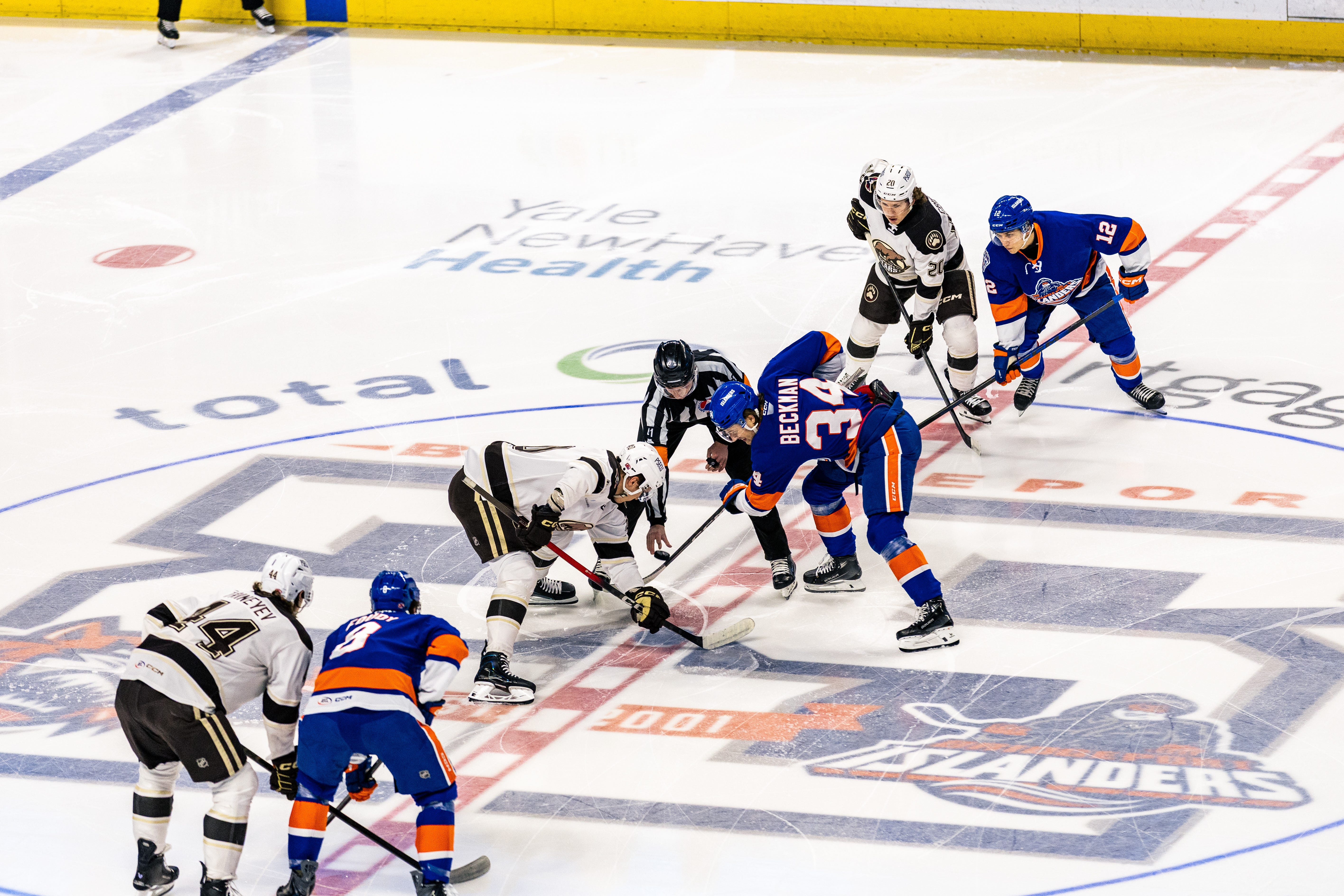 B-Isles And Bears Ready To Lay It All On The Line