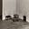 The Eccentric Review's avatar