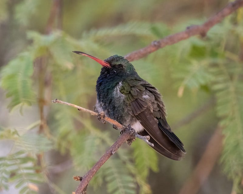 20241009-MBY-171-Edit.jpg Oct 9.jpg 20241009-MBY-171-Edit.jpg Oct 9.jpg